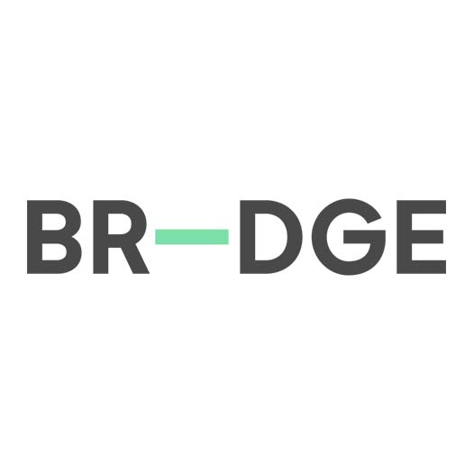 BR-DGE logo