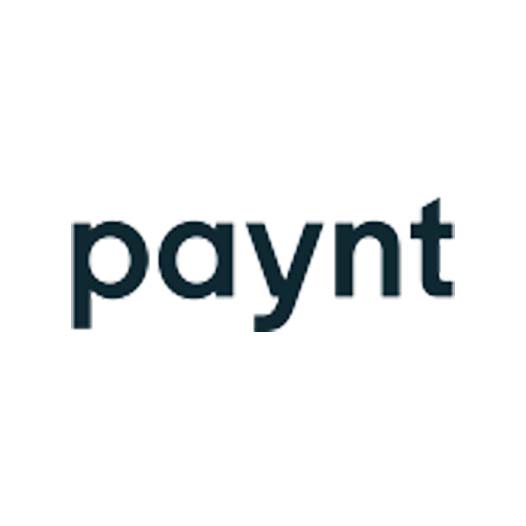 paynt logo