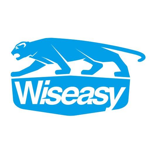 Wiseasy logo